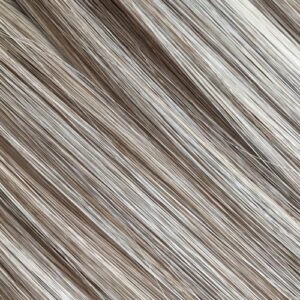 LIGHT ASH BRONDE HIGHLIGHT HAIR EXTENSION