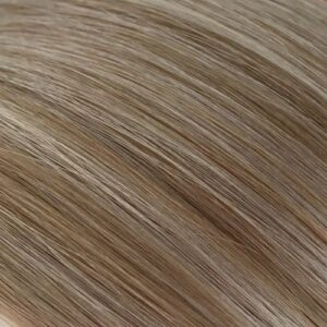 LIGHT HONEY BLONDE HIGHLIGHT HAIR EXTENSION